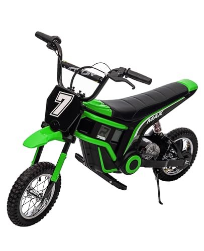 24V Electric Dirt Bike 350W Motor 14.29 MPH Dual Suspension Q56858