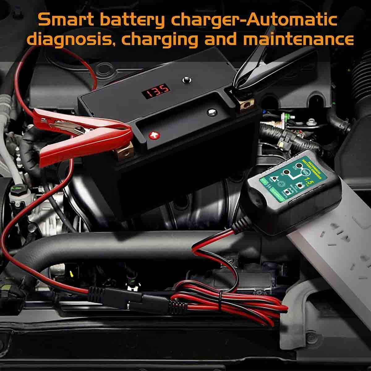 12V 6V 800mA Automatic Battery Charger J15948