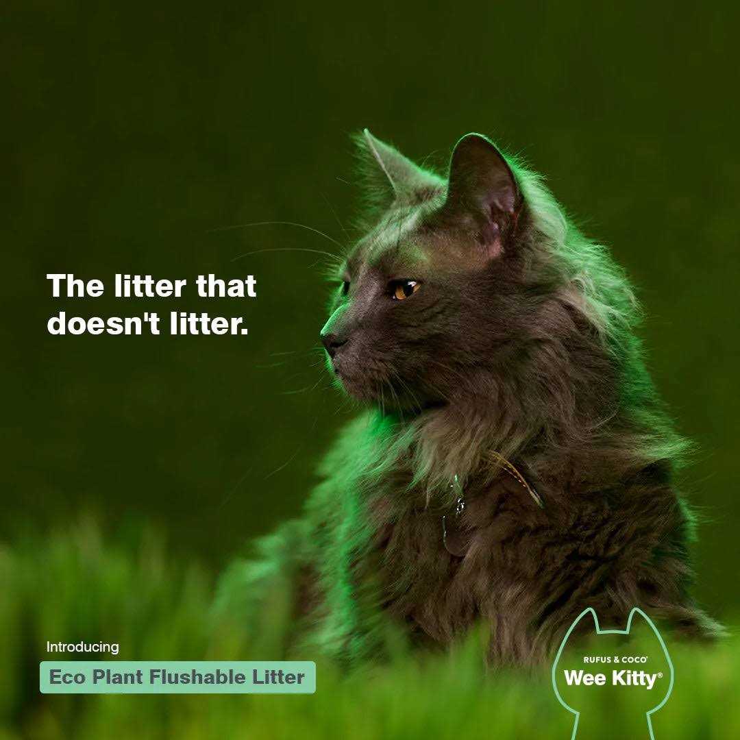 Eco Plant Clumping Cat Litter C35309