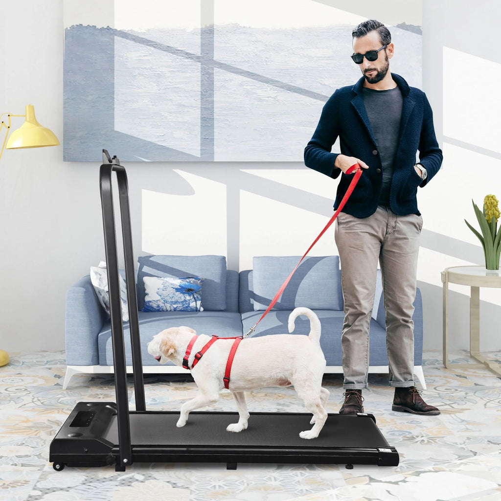 Foldable 2 in 1 Treadmill 1.5 HP J534279