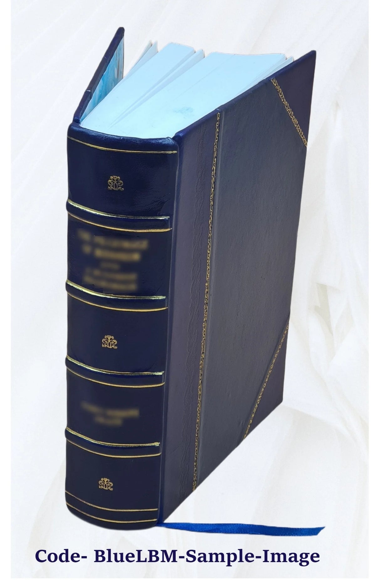 Leather Bound Book E721302