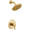 Gold Shower Only Trim Package A50532