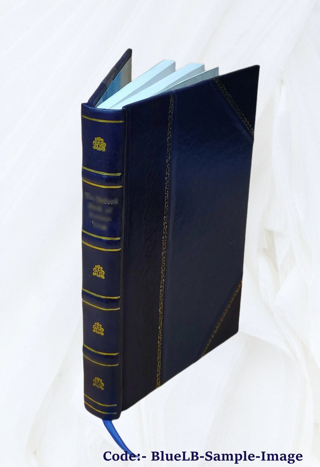 Leather Bound Book G262