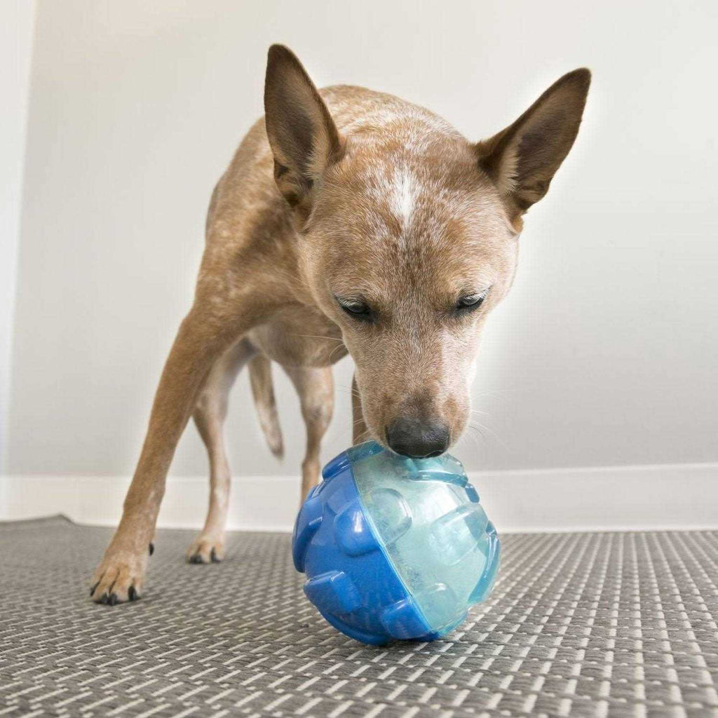 Ball Dog Toy Z9264