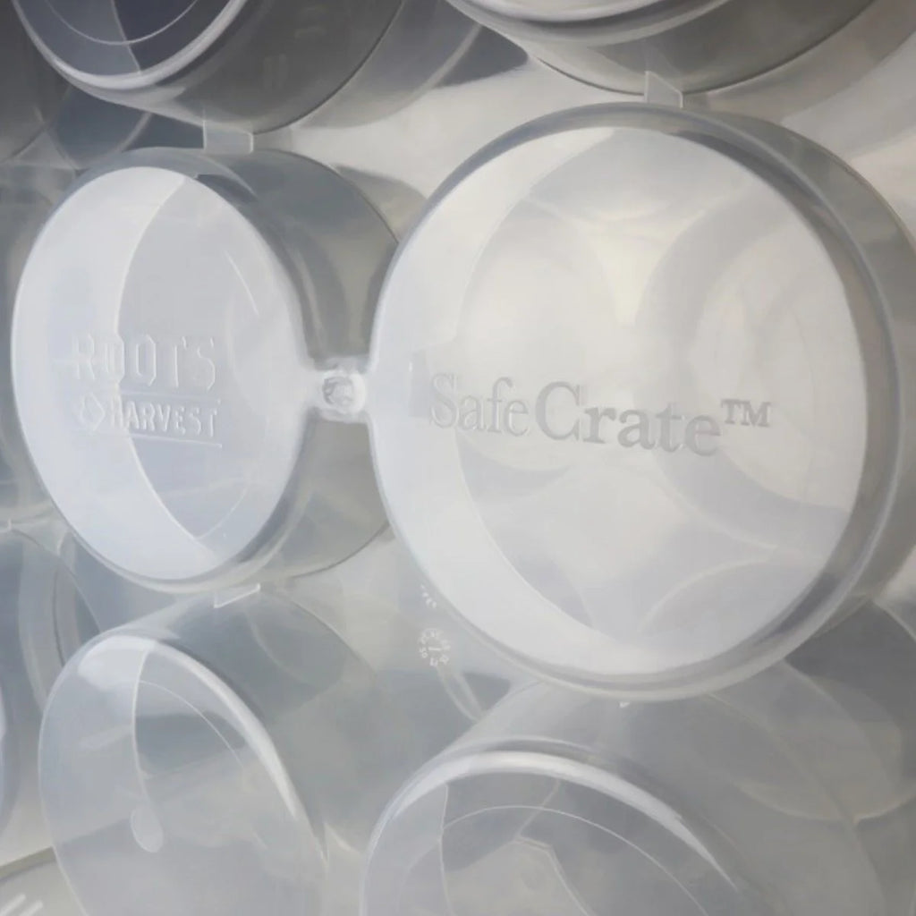 SafeCrate for Jelly Jars P5207