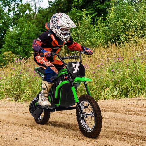24V Electric Dirt Bike 350W Motor 14.29 MPH Dual Suspension Q56858