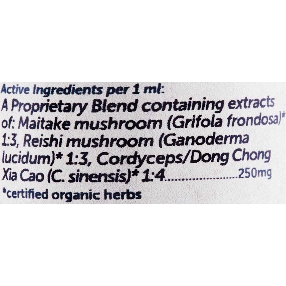 Mushroom Defense Pet Supplies Y64731