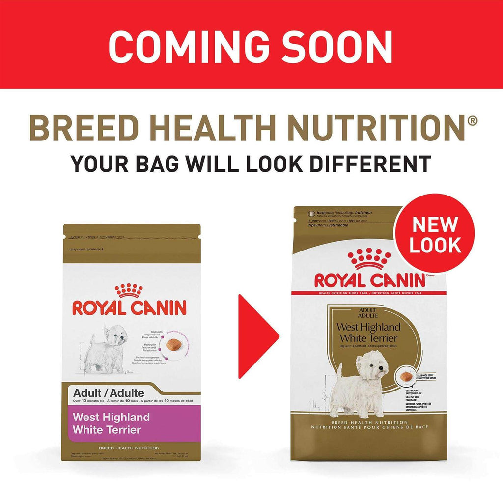 Adult Dry Dog Food T53861