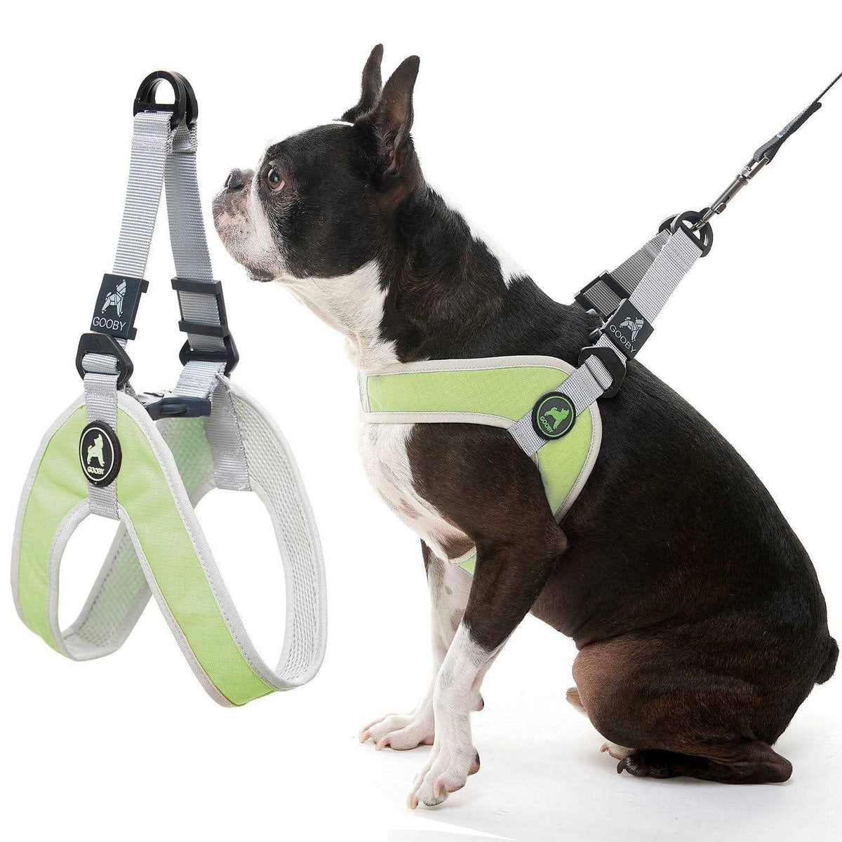 Step-In Dog Harness P822575