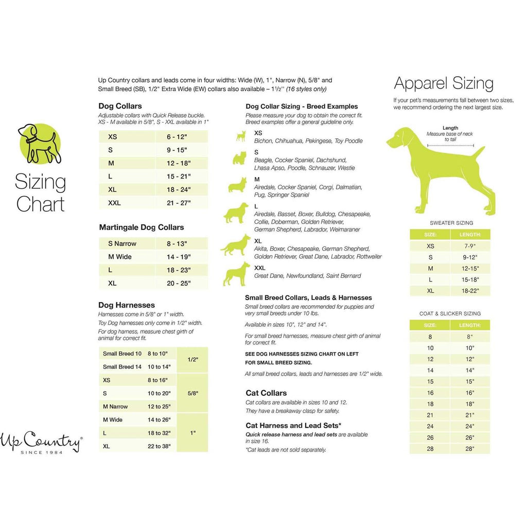 Dog Collar T459947