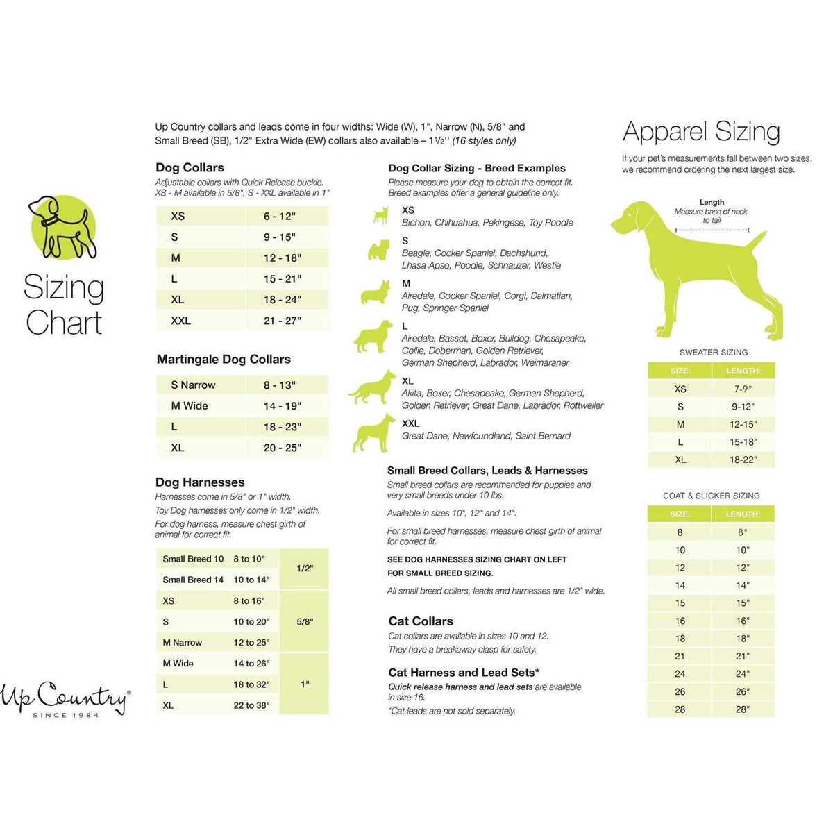 Dog Collar T459947