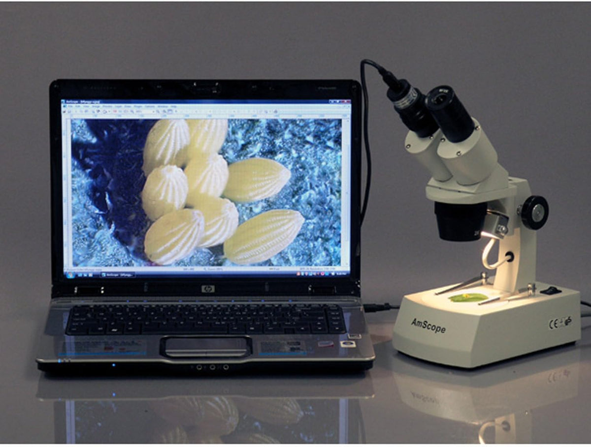 Digital USB Camera for Microscope B810