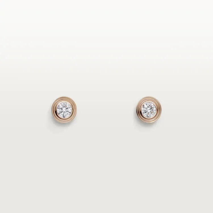Earrings N53326