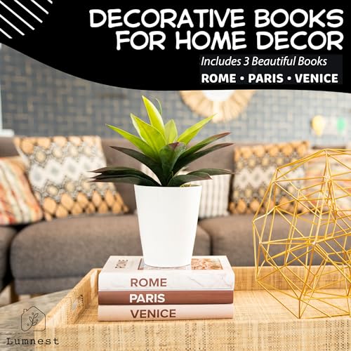 Faux Books Set of 3 U8703
