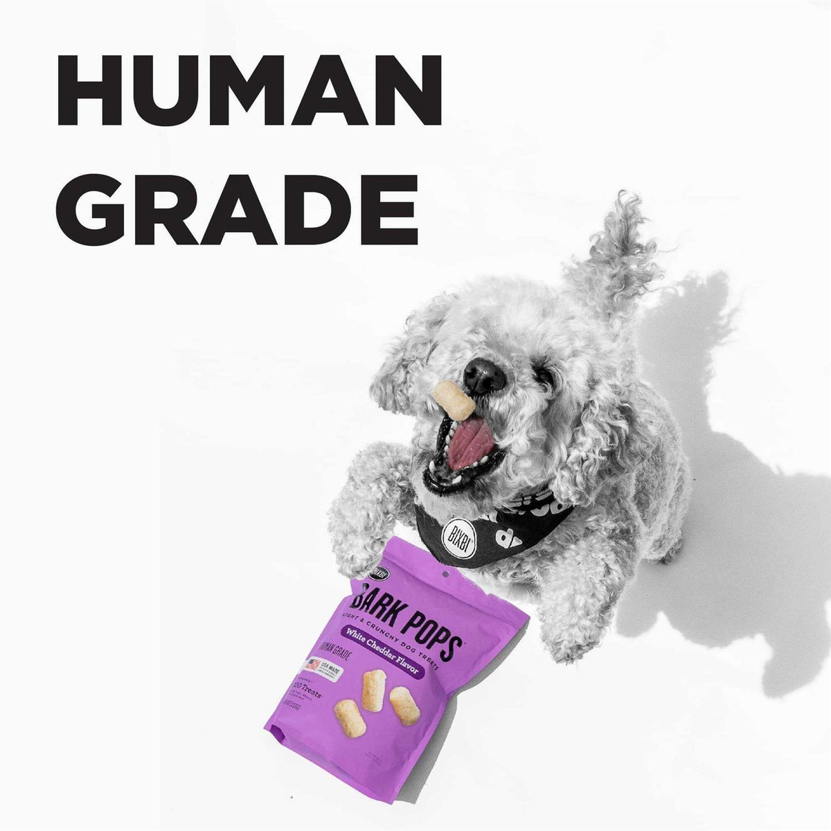 Bark Pops Dog Treats D848
