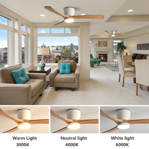 Grey 36in LED Ceiling Fan with Remote Q8982