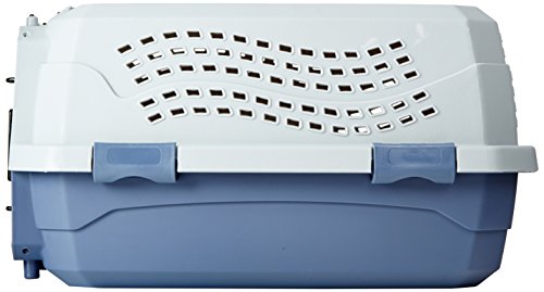2-Door Top-Load Hard-Sided Pet Travel Carrier, Gray & Blue, 22.8"L x 15.0"W x 13.0"H X83632