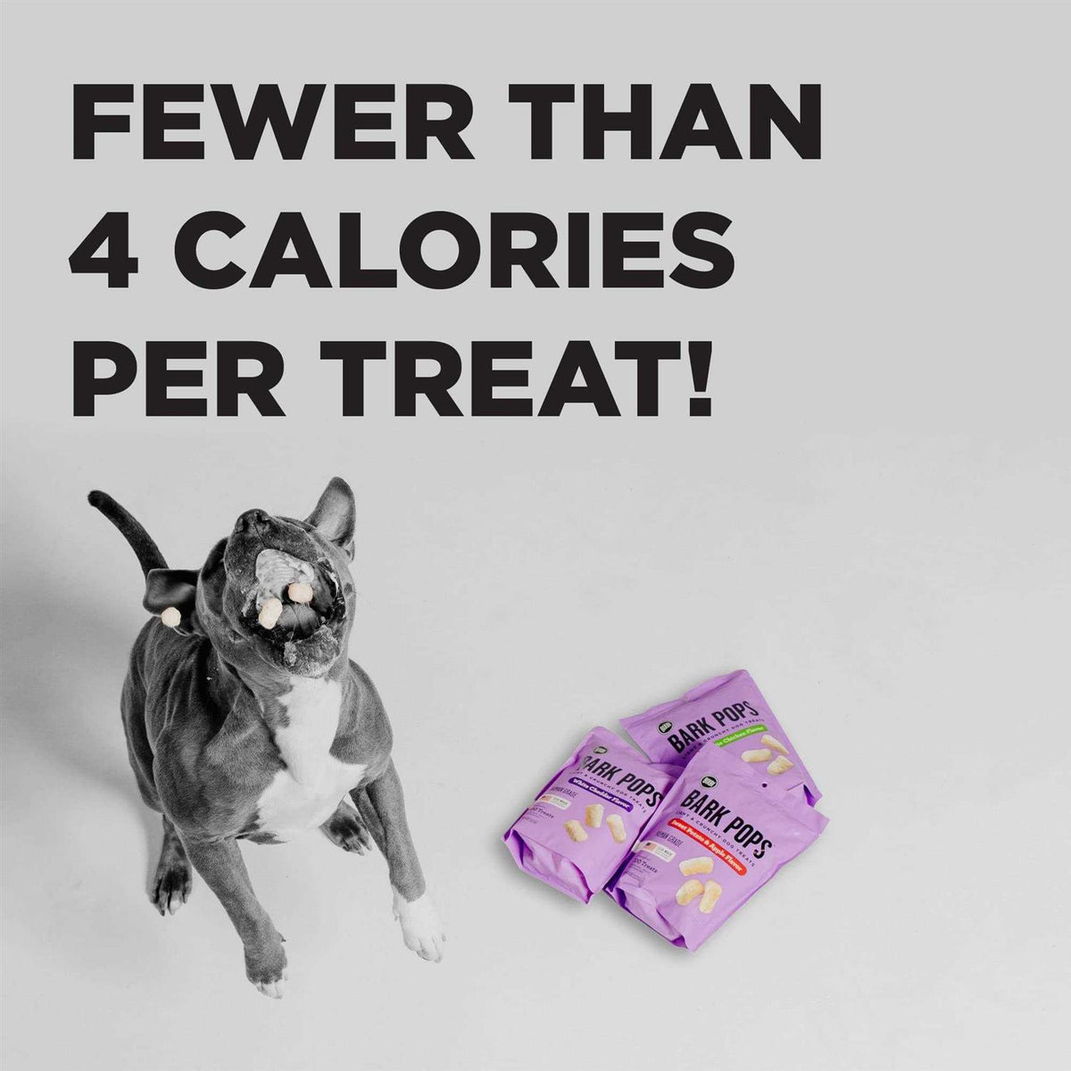 Bark Pops Dog Treats D848