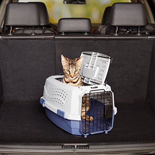 2-Door Top-Load Hard-Sided Pet Travel Carrier, Gray & Blue, 22.8"L x 15.0"W x 13.0"H X83632