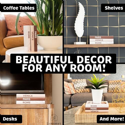 Faux Books Set of 3 U8703