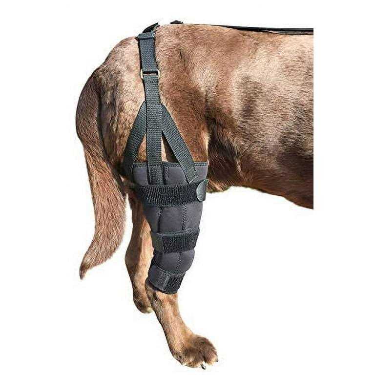 Dog Knee Brace T720