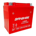 Sealed AGM Motorcycle Battery I231