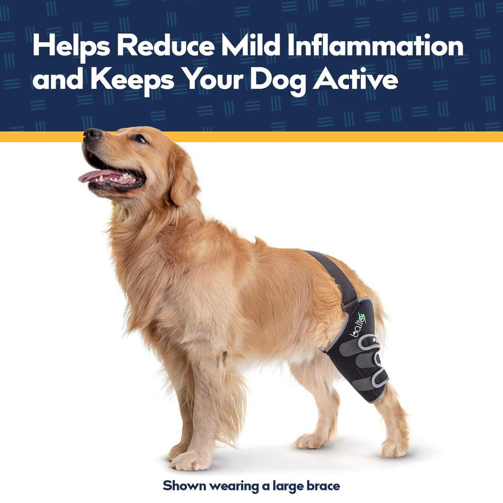 Knee Support for Dogs X884