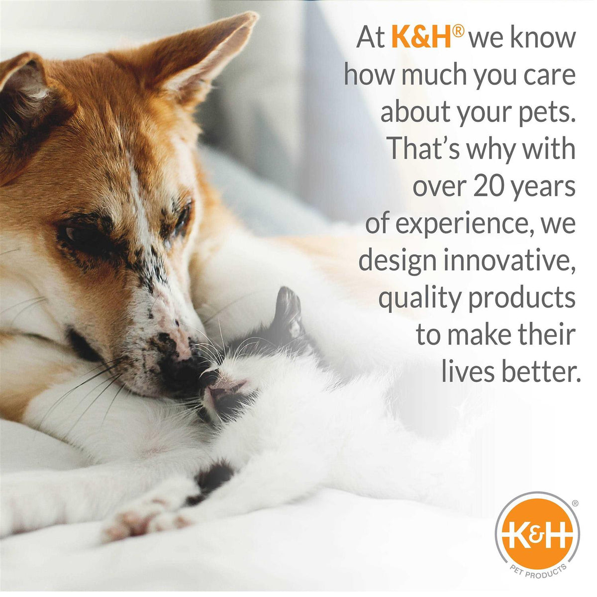 Pet Bed Warmer O121821