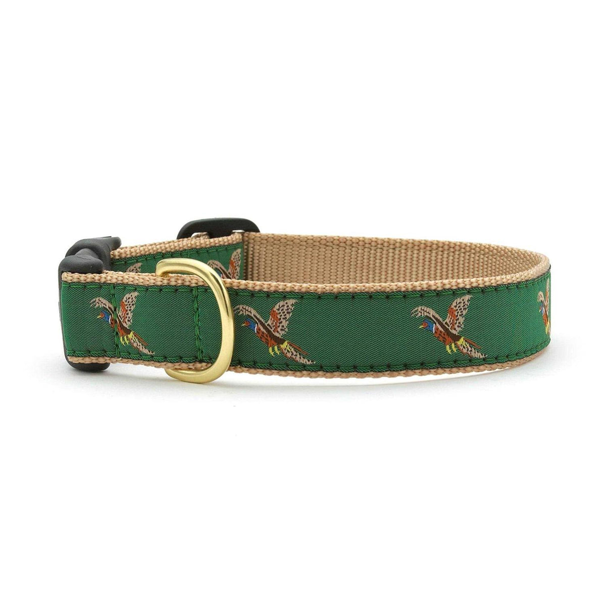 Dog Collar T459947