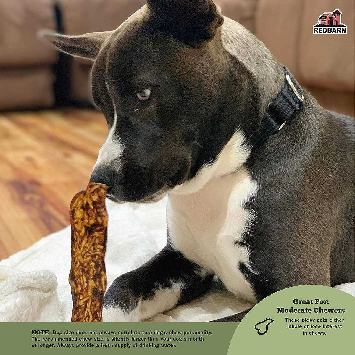 Dog Treats R80199