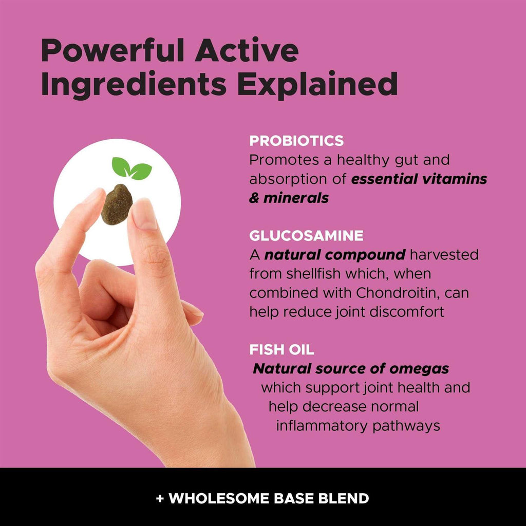 10 in 1 Multivitamin Glucosamine Soft Chews U631