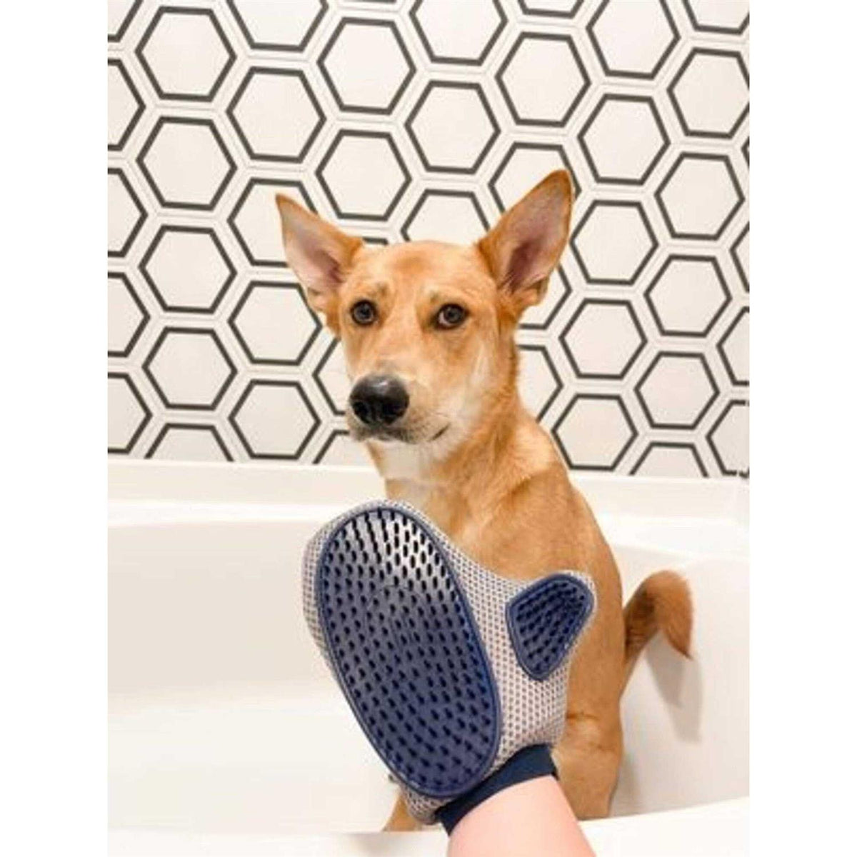 Grooming Mitt Q89264