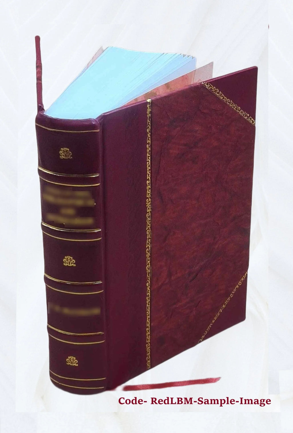 Leather Bound Book E721302