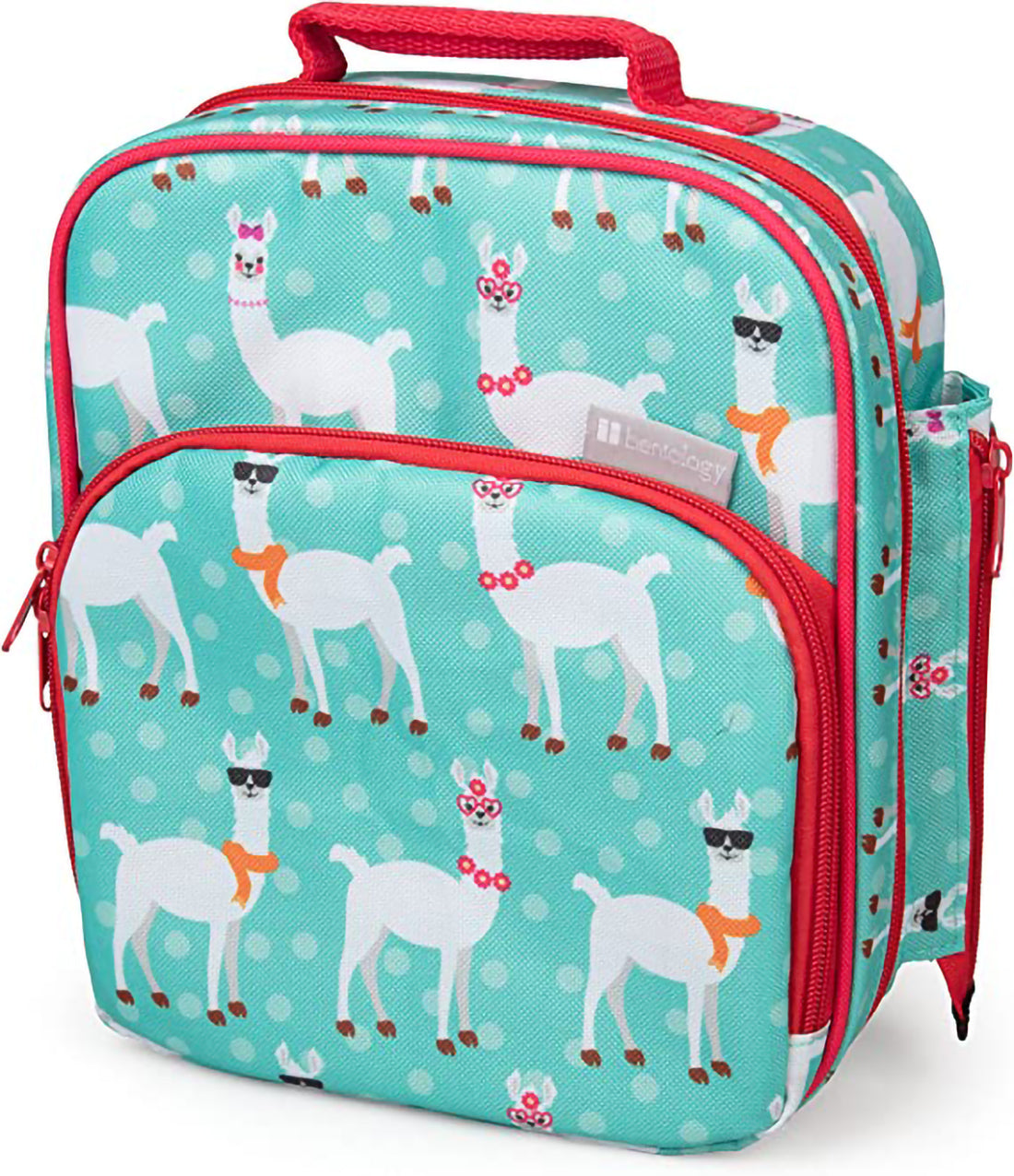 (2 pack) Insulated Lunch Box Tote with Snack Pocket and Water Bottle Holder D719