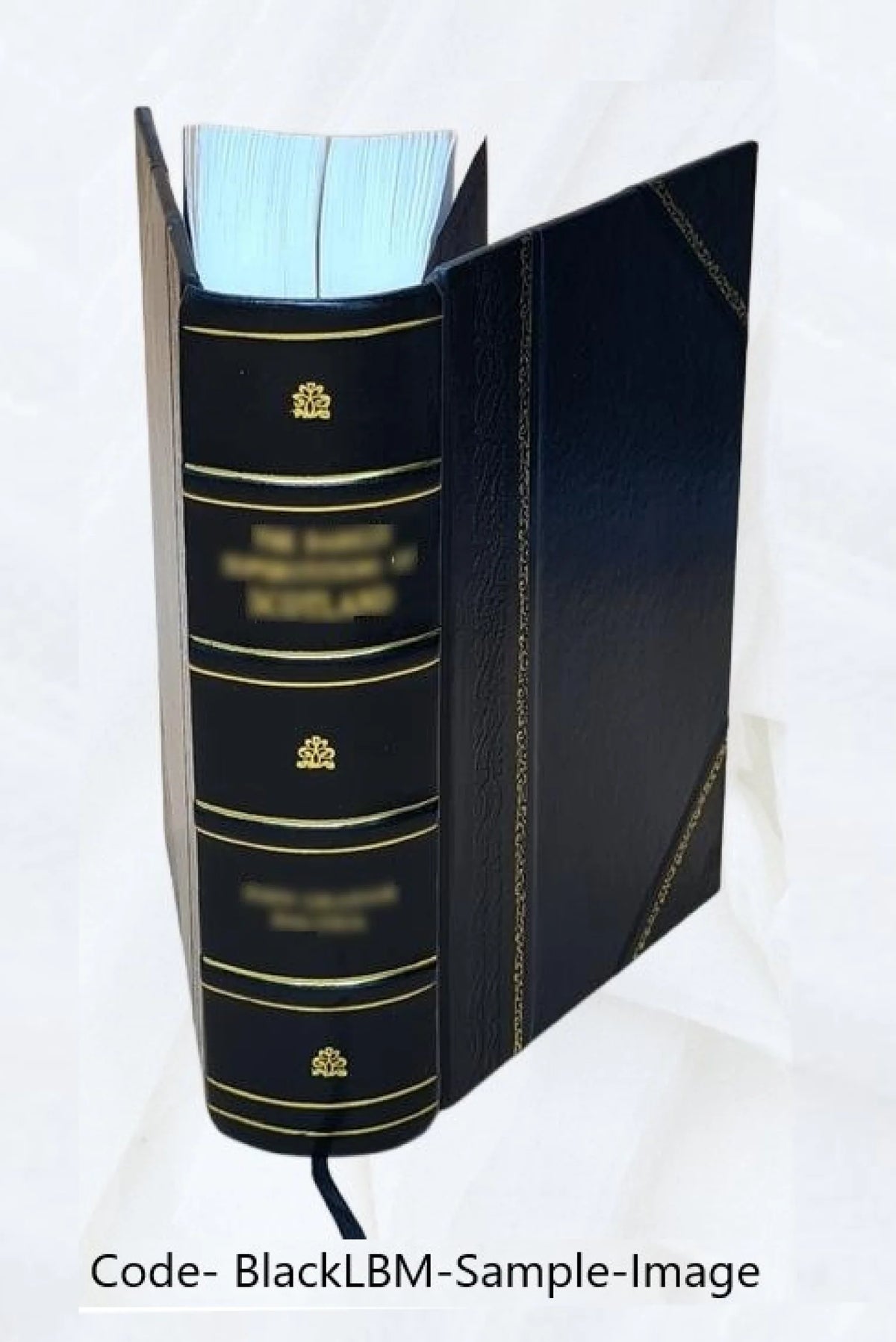 Leather Bound Book E721302