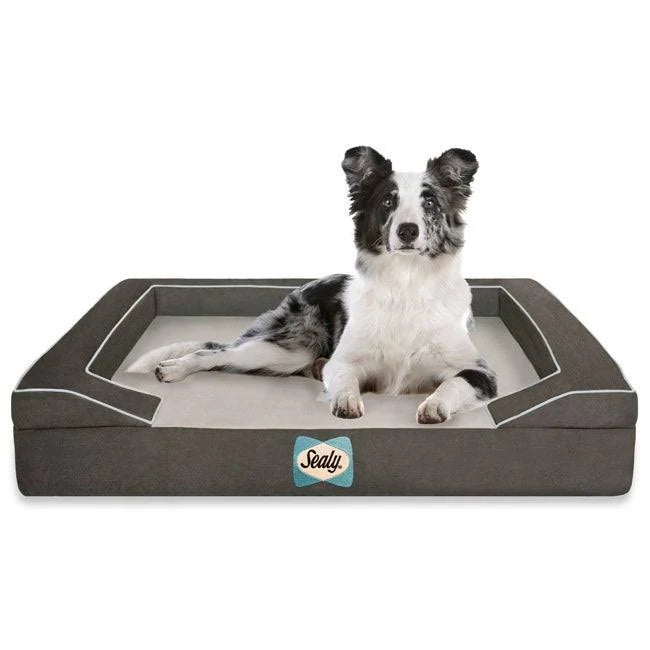Large Orthopedic Dog Bed H48608
