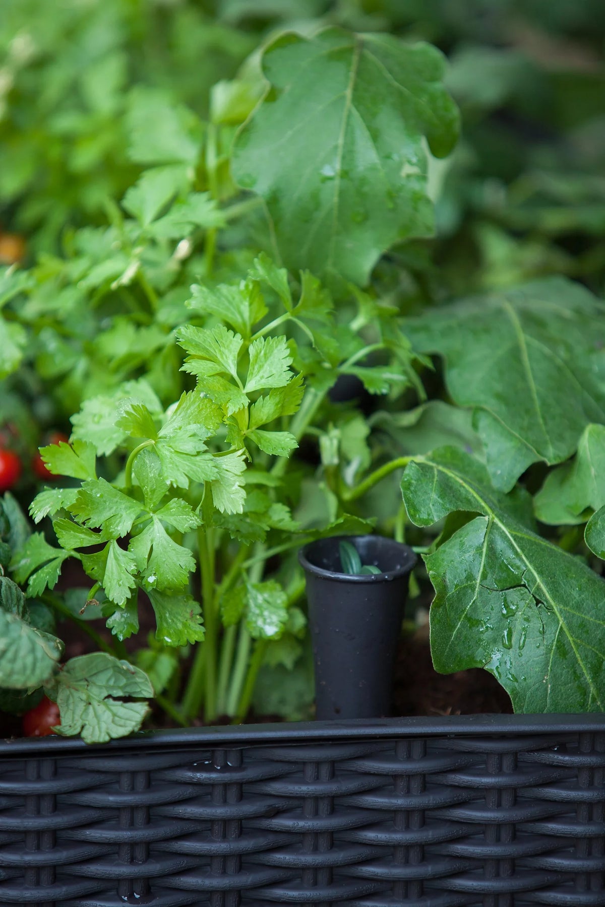 Raised Garden Bed with Self-Watering and Drainage System E471532