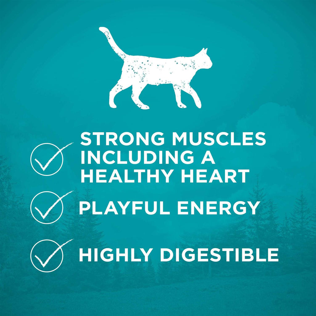 High Protein Grain Free Dry Cat Food P4825