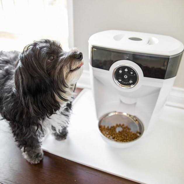 Wi-fi Cat & Dog Auto-Feeder with Hopper & Backup Battery D336938