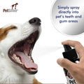 Bad Breath Spray for Dogs Cats W232