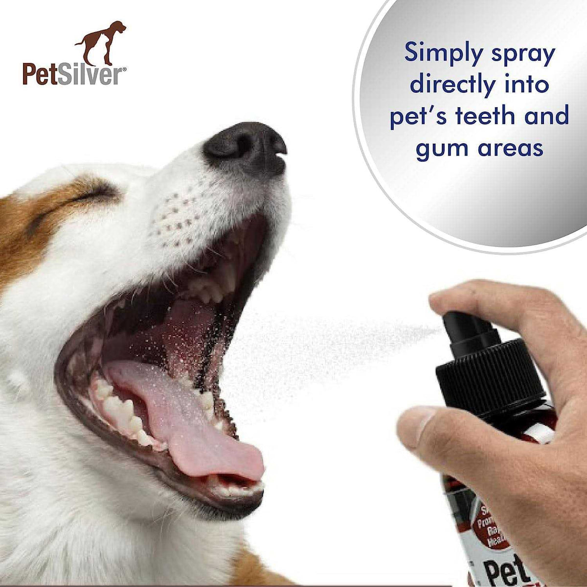 Bad Breath Spray for Dogs Cats W232