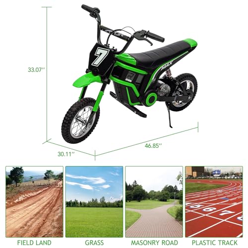 24V Electric Dirt Bike 350W Motor 14.29 MPH Dual Suspension Q56858