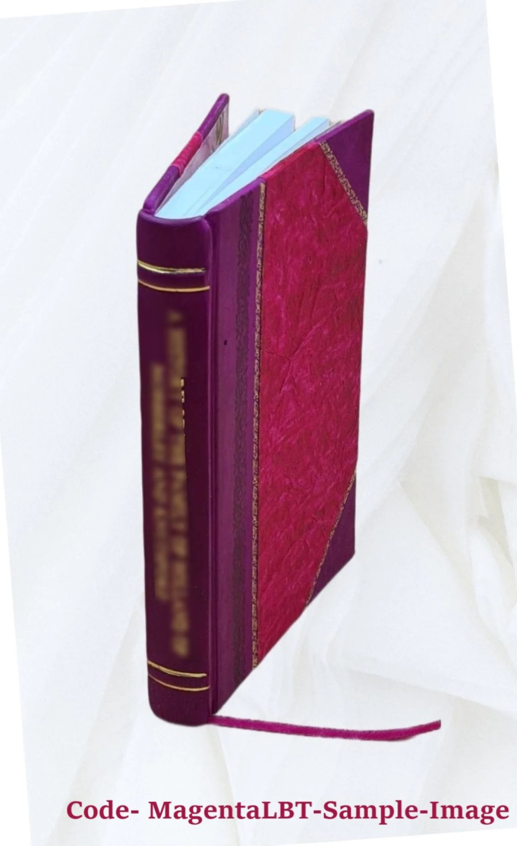 Kentucky State Historical Society Volume 21 Leather Bound L914354