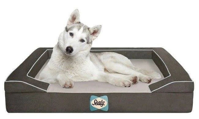 Large Orthopedic Dog Bed H48608