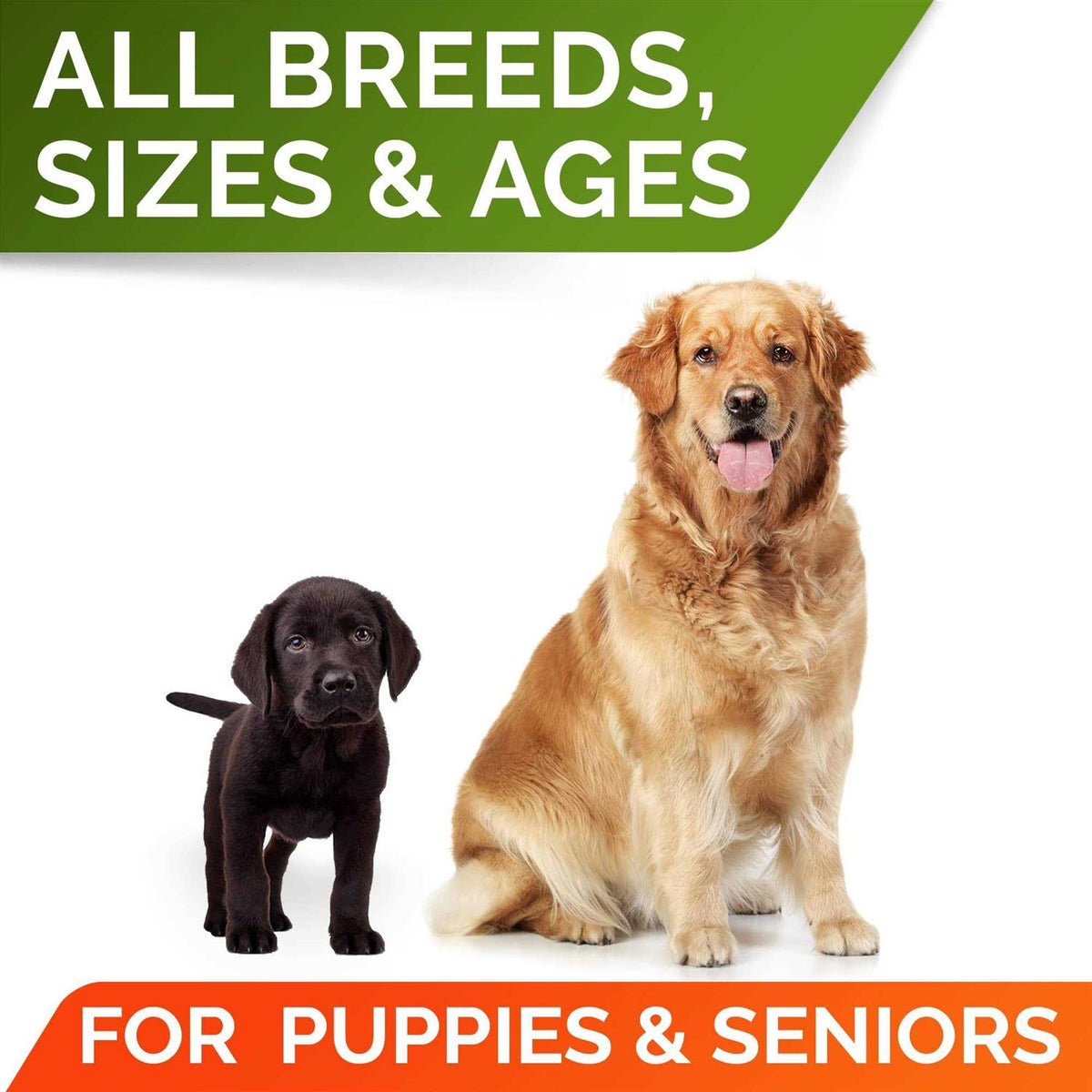 Pumpkin High Fiber Digestive Supplement for Dogs W8718