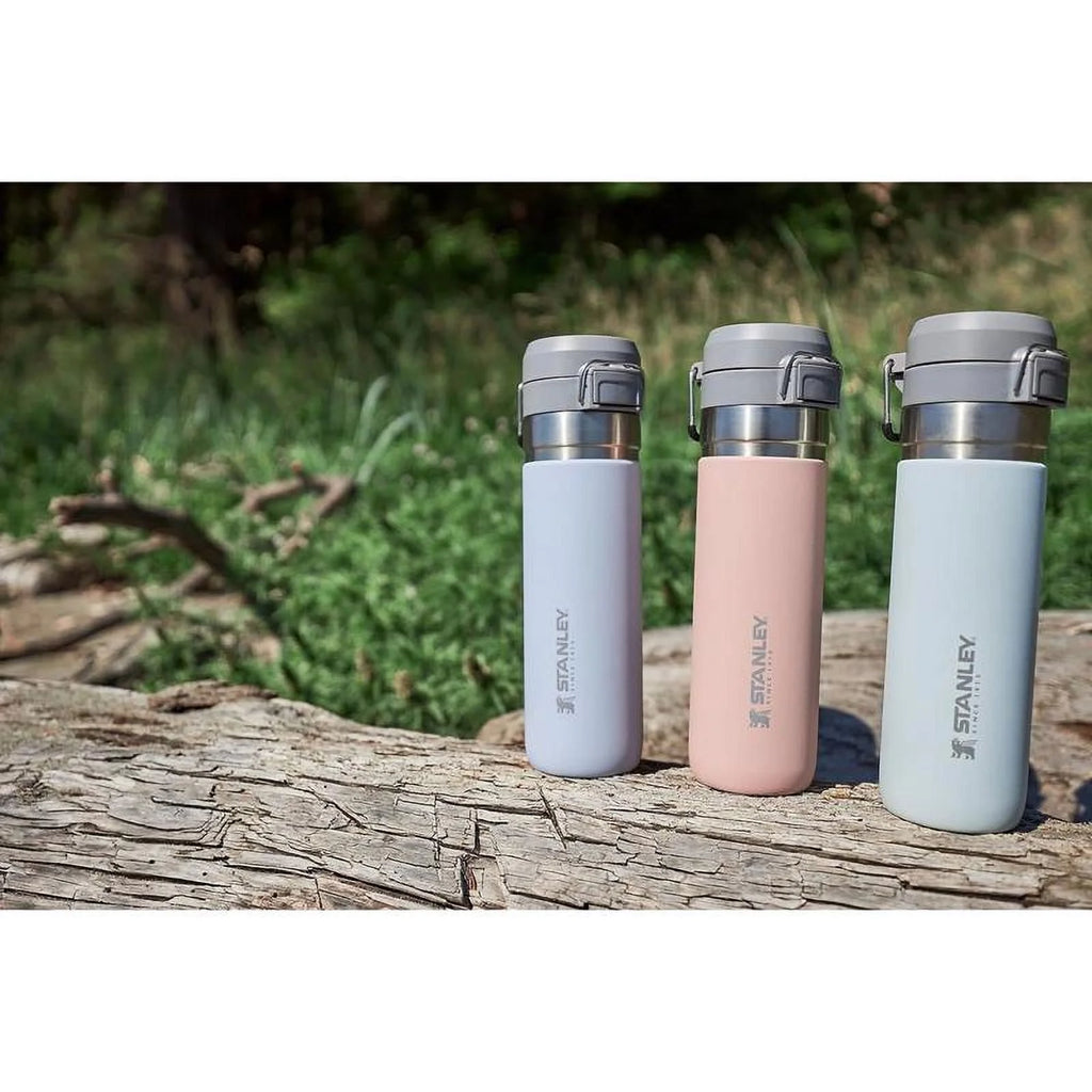 24 oz Double Wall Insulated Bottle P378774