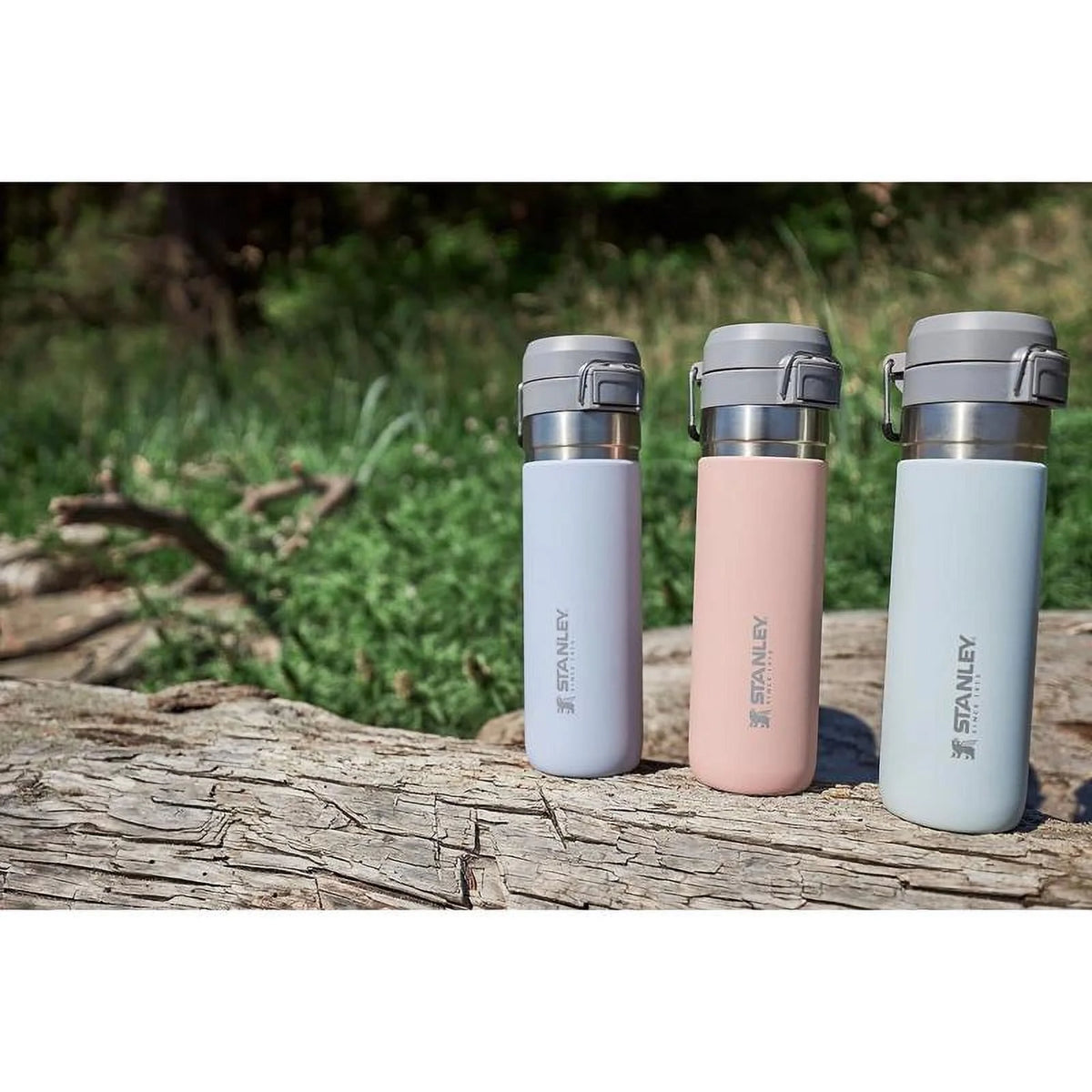 24 oz Double Wall Insulated Bottle P378774