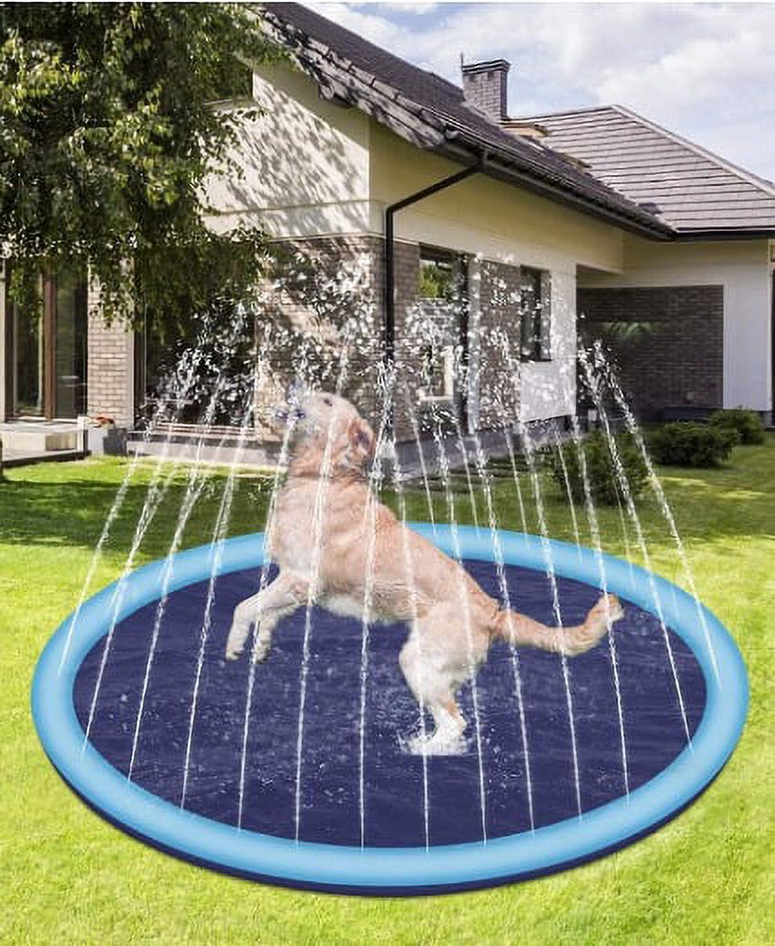 67 inch Inflatable Dog Pool Toy Z543614
