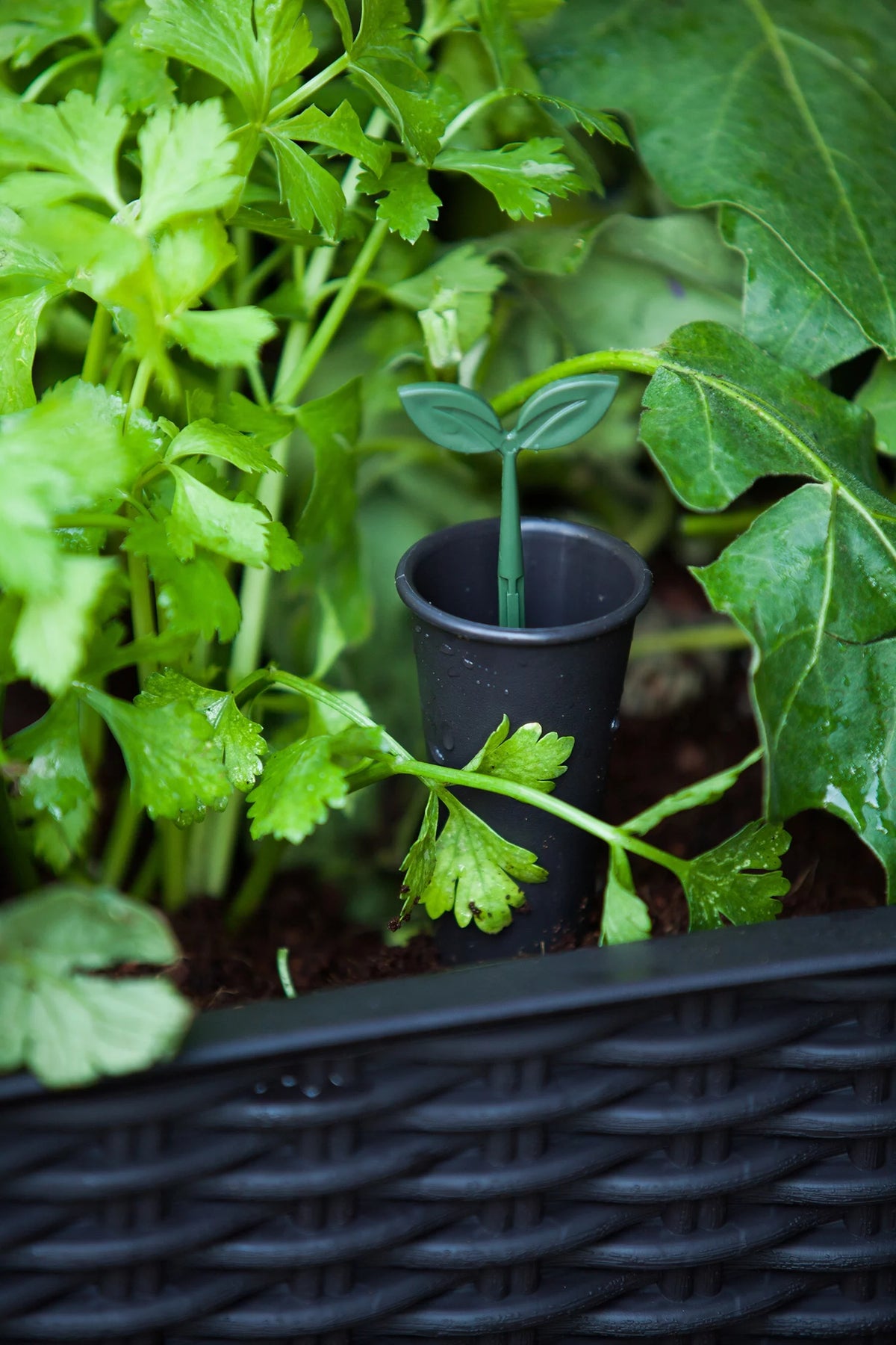 Raised Garden Bed with Self-Watering and Drainage System E471532