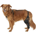 Dog Knee Brace T720